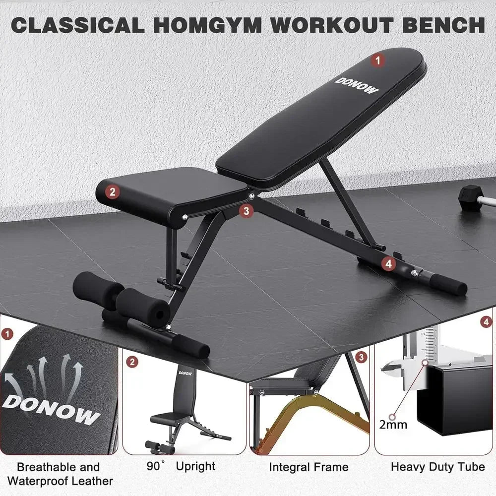 Adjustable Squat Rack and Weight Bench for Strength Training