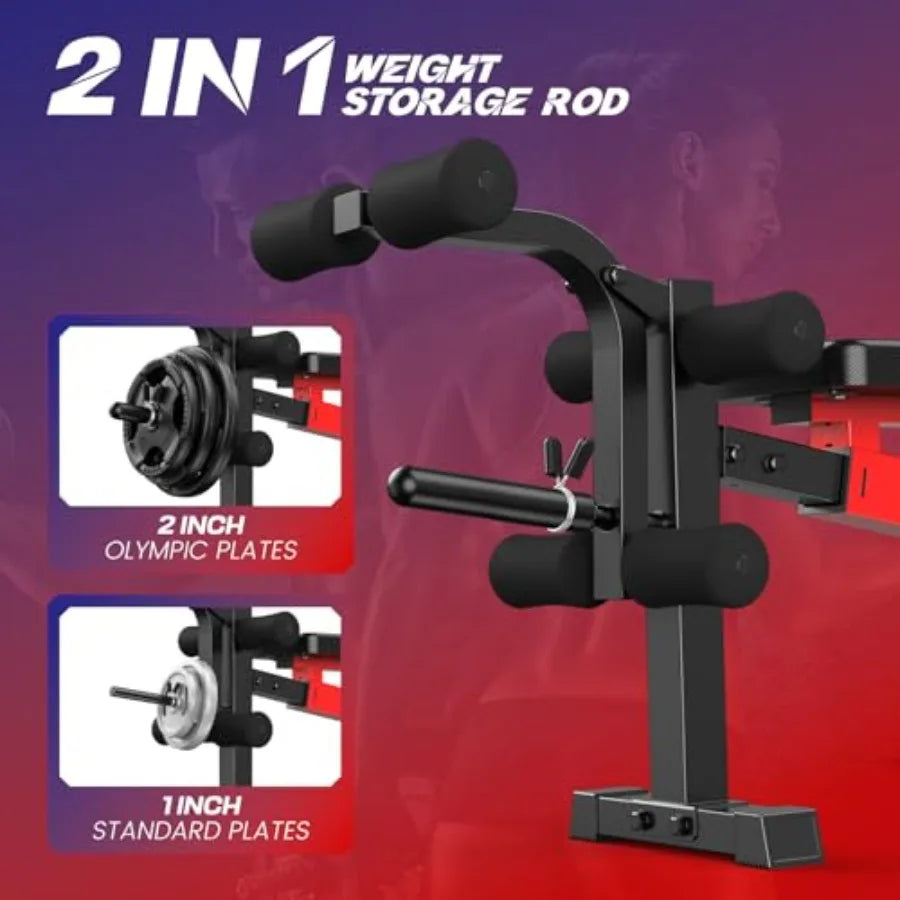 Home Gym Weight Bench Set with Squat Rack: 900 LBS Ccity Adjustable Flat/Incline/Decline Bench Leg Extension Curl Foldable Stee
