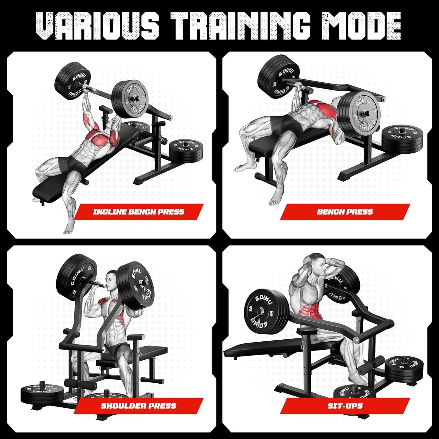 Chest Press Machine Weight Bench Press Machine with Independent Converging Arms Adjustable Flat Incline Bench Press for Chest AB